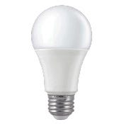 LED Bulbs & Reflectors